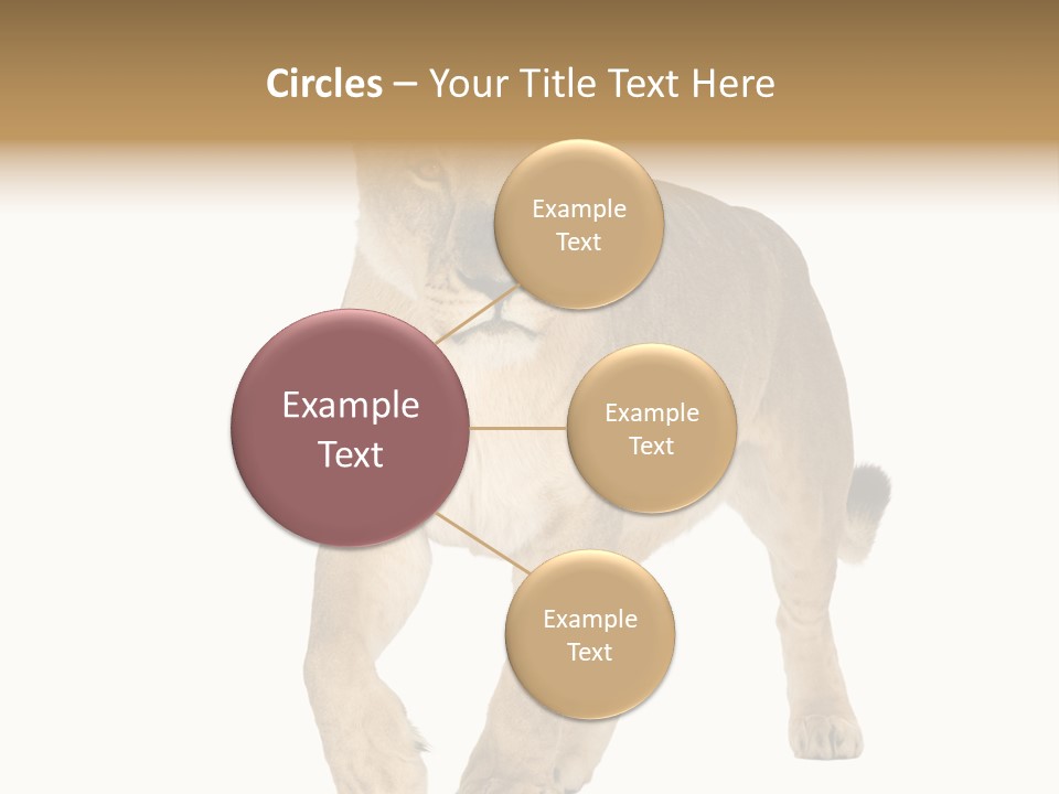 South Africa Creature Animals PowerPoint Template