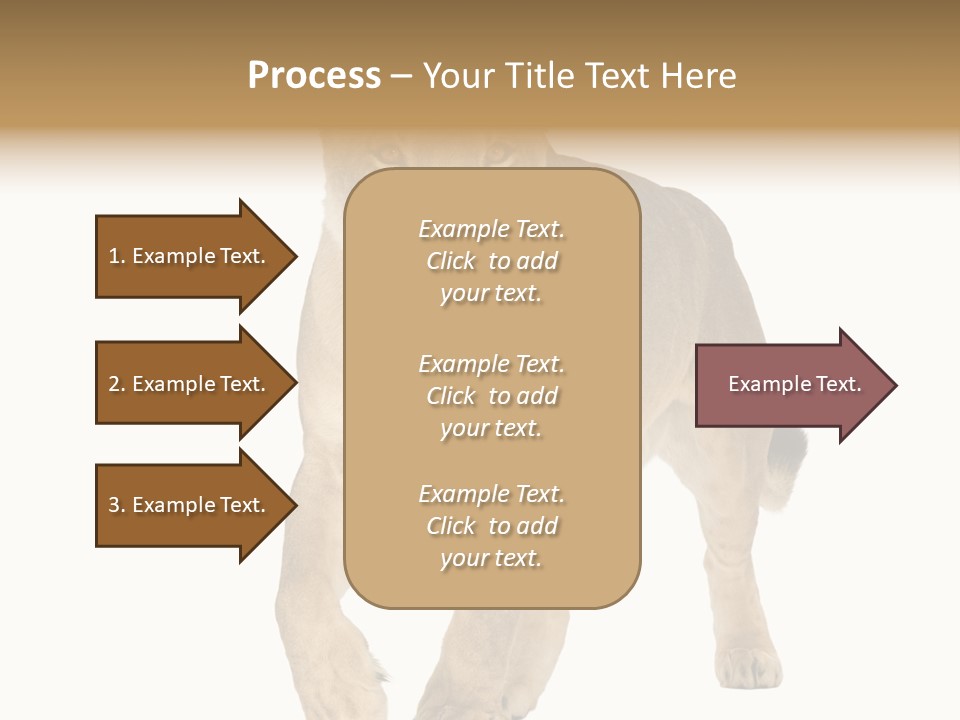 South Africa Creature Animals PowerPoint Template