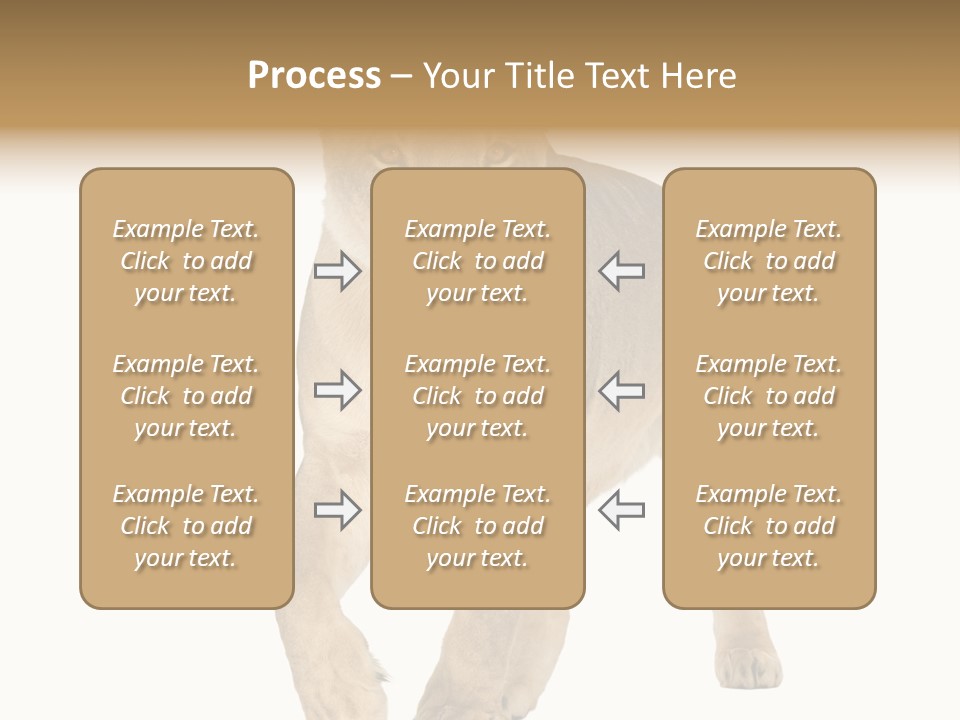 South Africa Creature Animals PowerPoint Template
