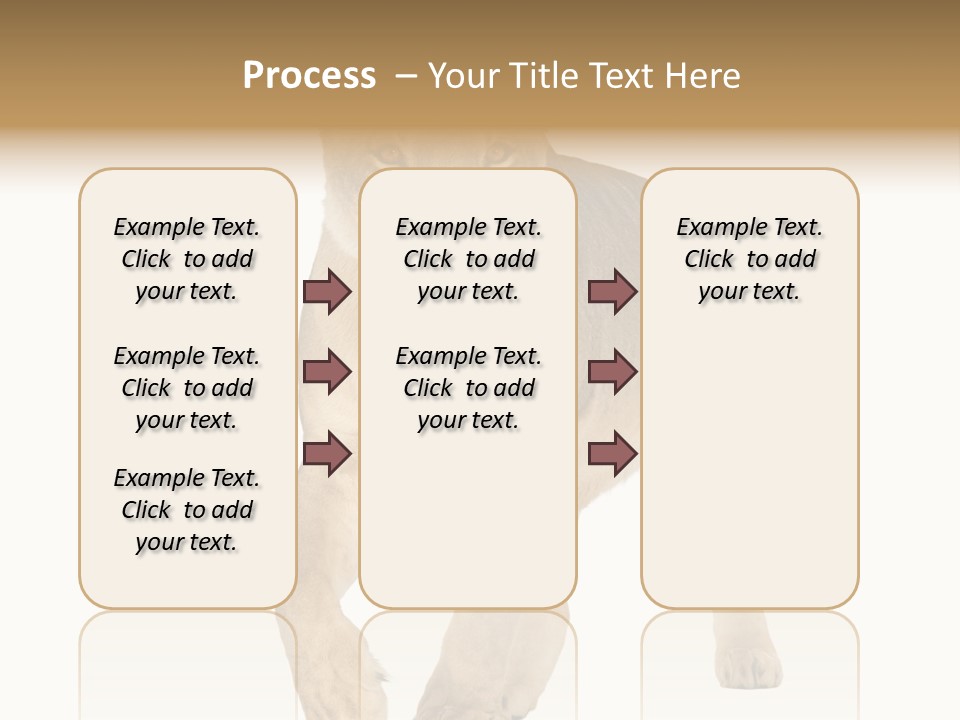 South Africa Creature Animals PowerPoint Template