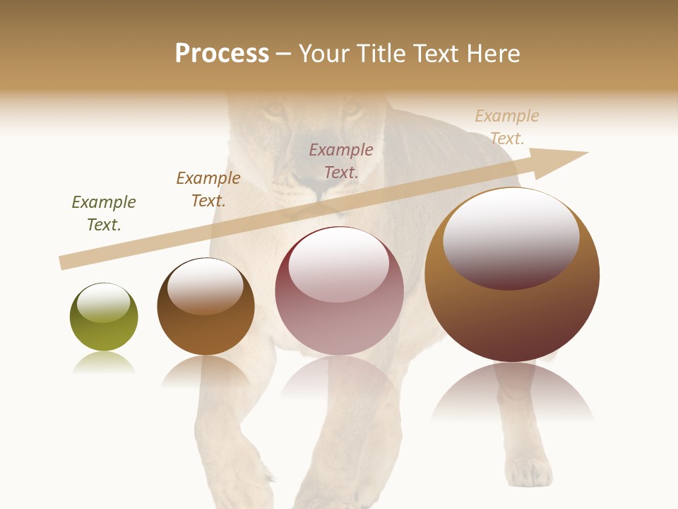 South Africa Creature Animals PowerPoint Template