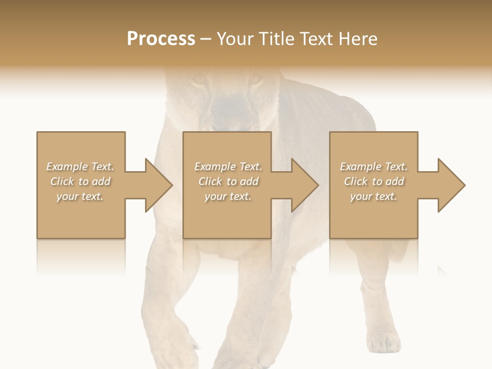 South Africa Creature Animals PowerPoint Template