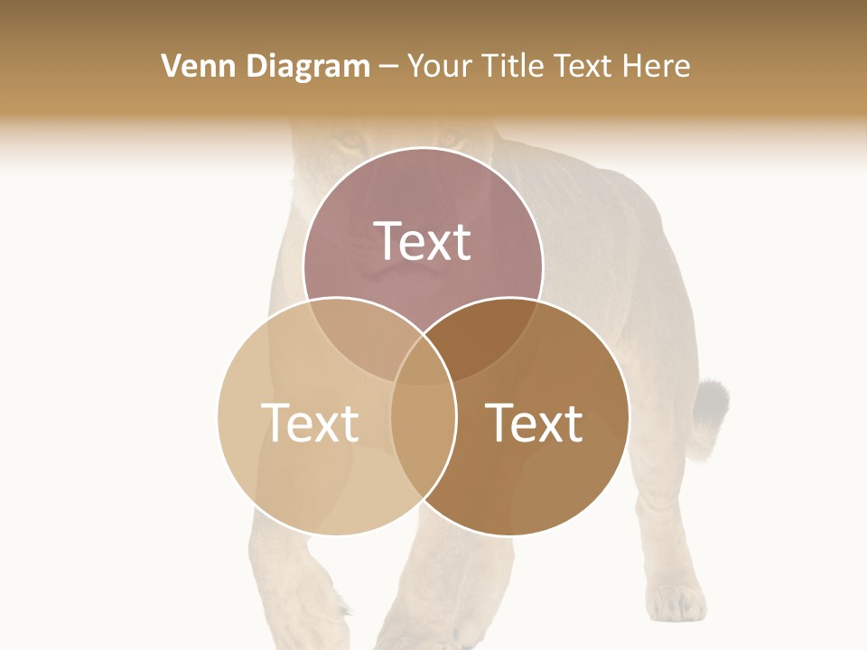 South Africa Creature Animals PowerPoint Template