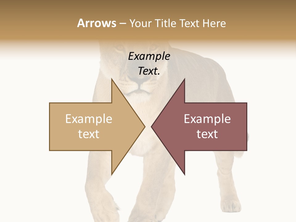 South Africa Creature Animals PowerPoint Template