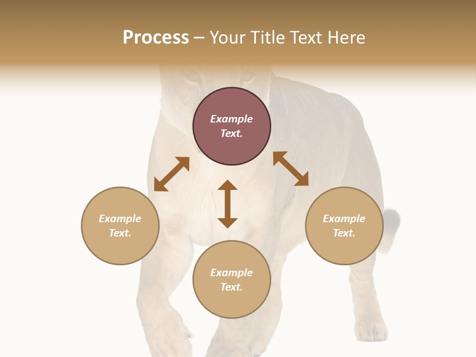 South Africa Creature Animals PowerPoint Template