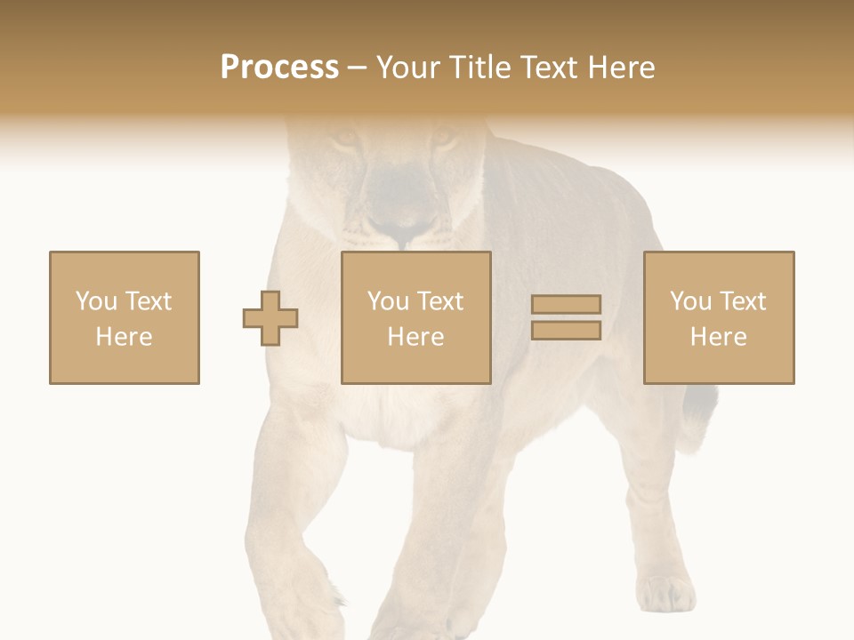 South Africa Creature Animals PowerPoint Template