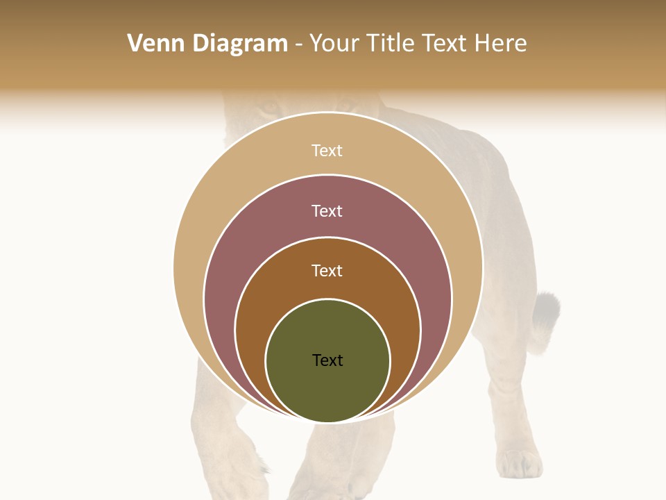 South Africa Creature Animals PowerPoint Template