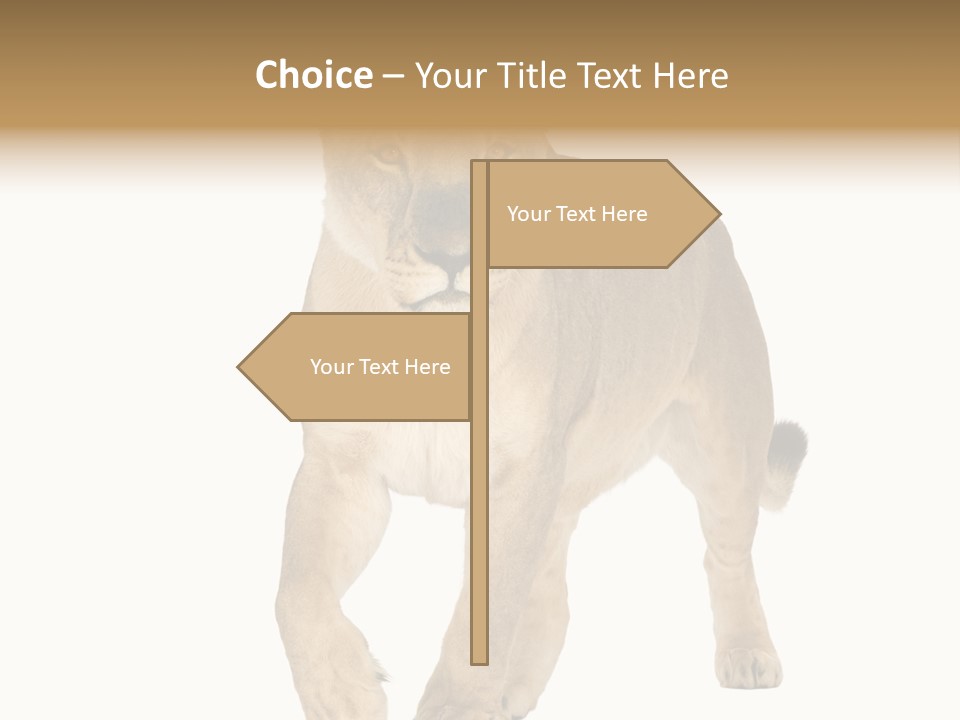 South Africa Creature Animals PowerPoint Template