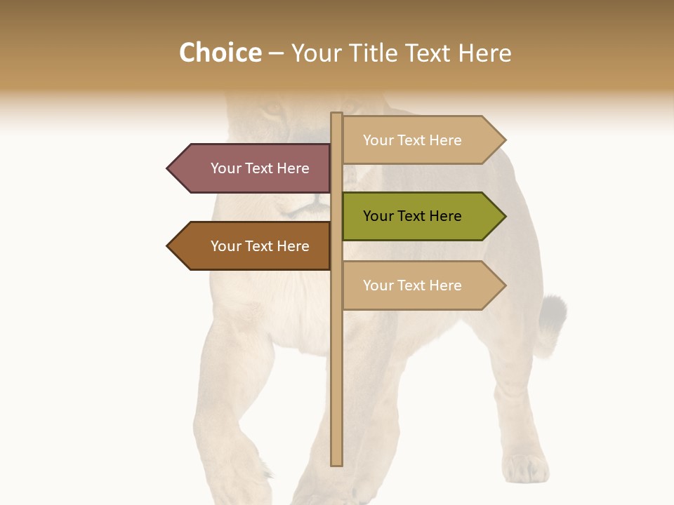 South Africa Creature Animals PowerPoint Template