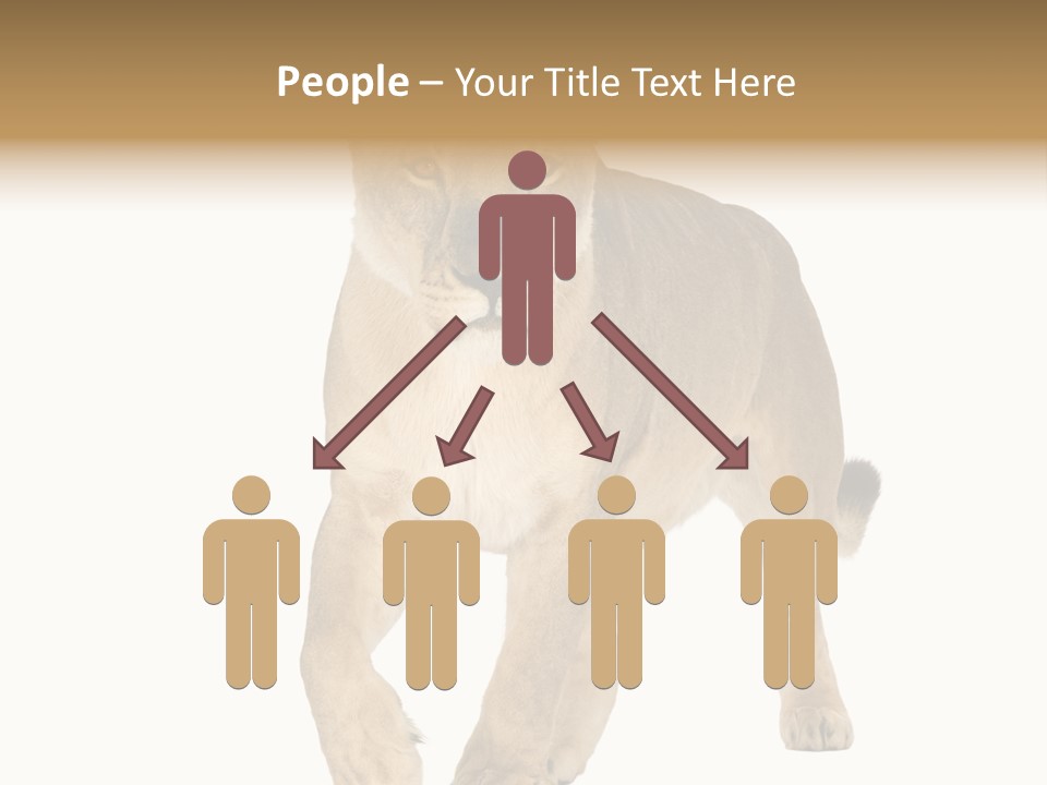 South Africa Creature Animals PowerPoint Template