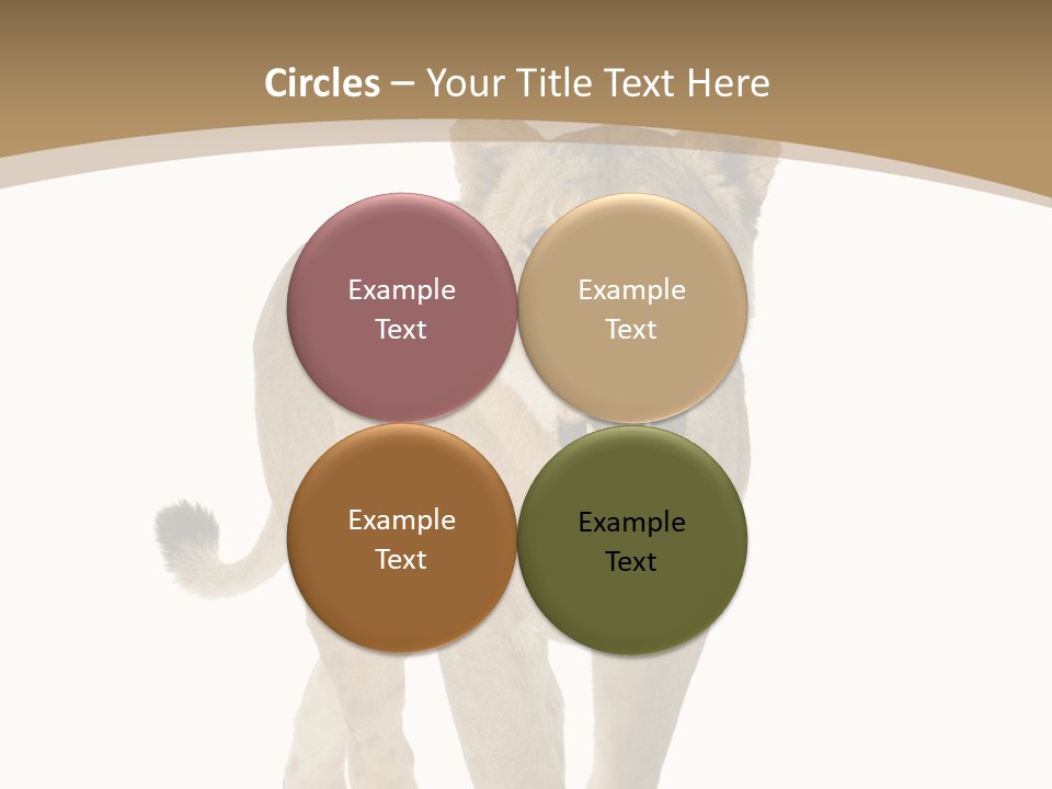 Fur Large Isolated PowerPoint Template