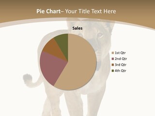 Fur Large Isolated PowerPoint Template