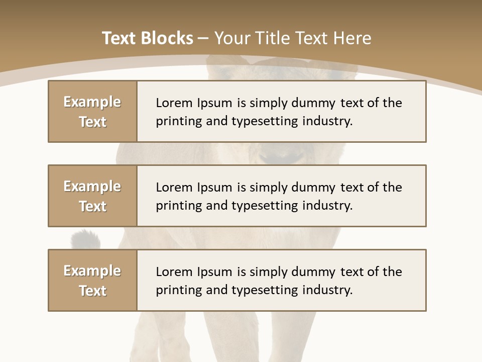 Fur Large Isolated PowerPoint Template