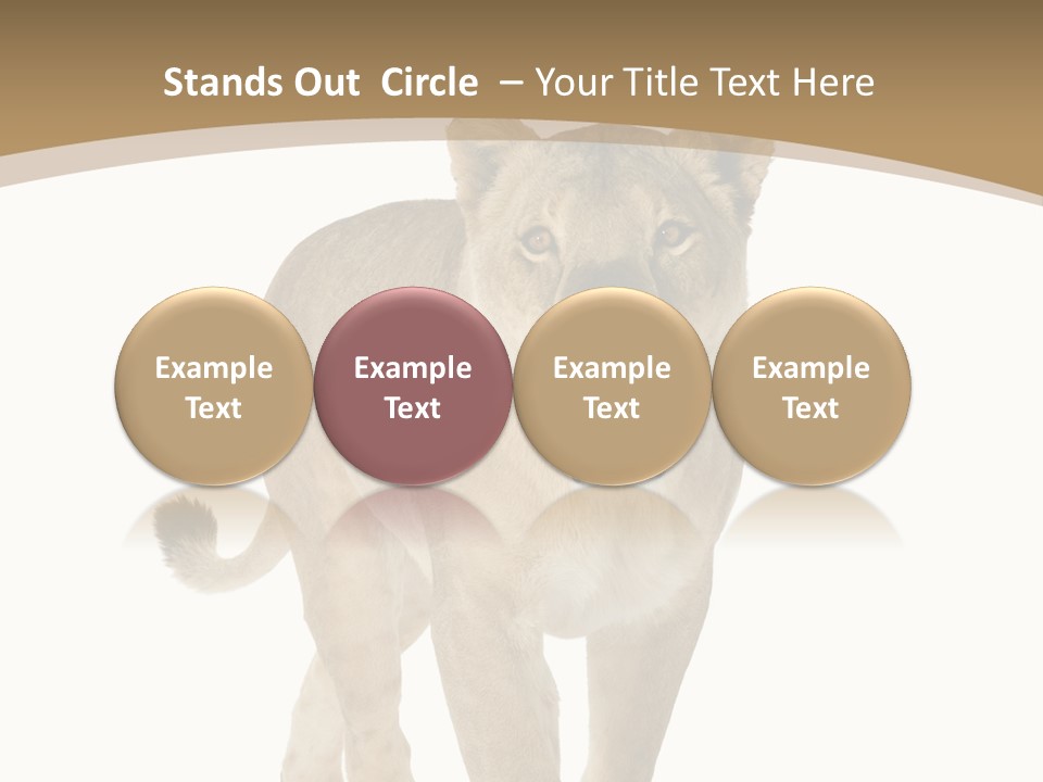 Fur Large Isolated PowerPoint Template