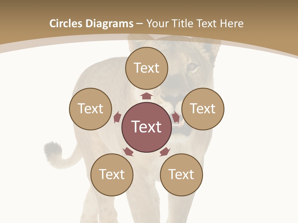 Fur Large Isolated PowerPoint Template