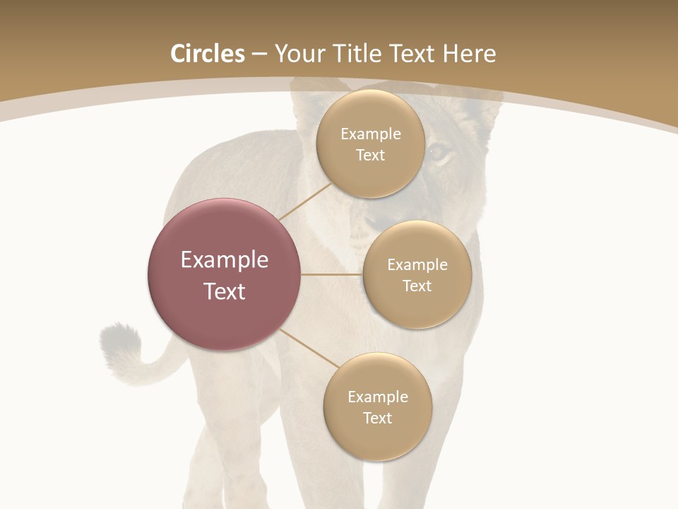 Fur Large Isolated PowerPoint Template