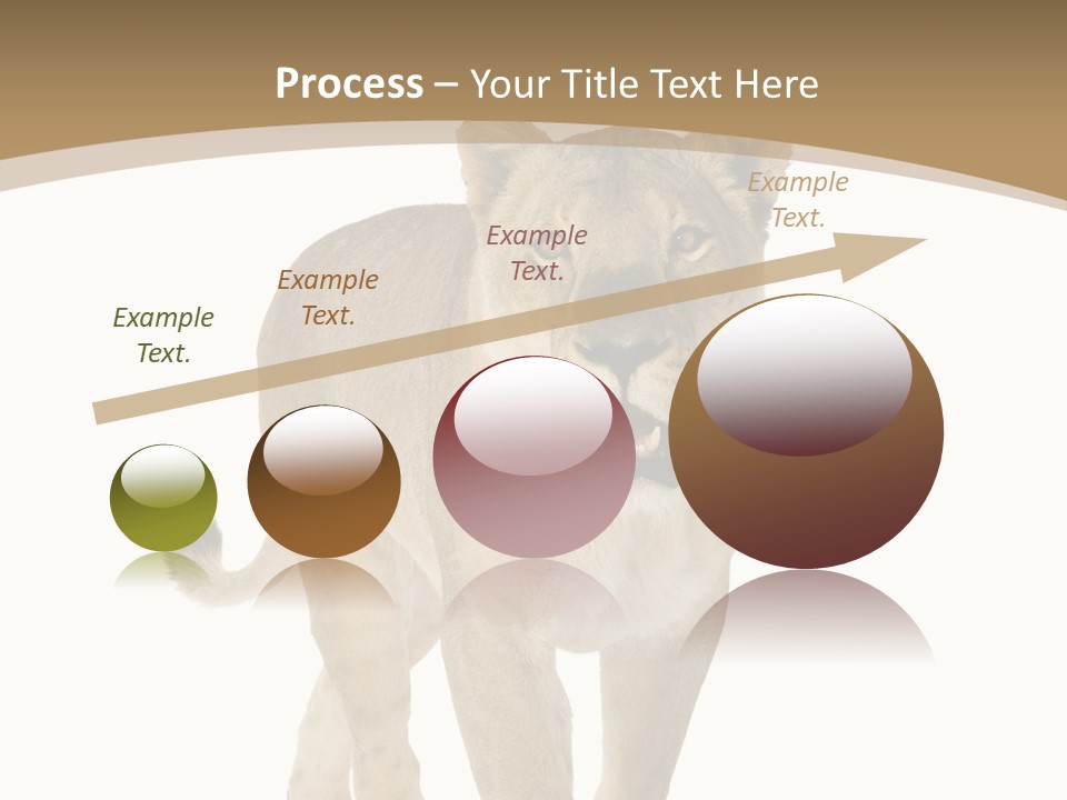 Fur Large Isolated PowerPoint Template