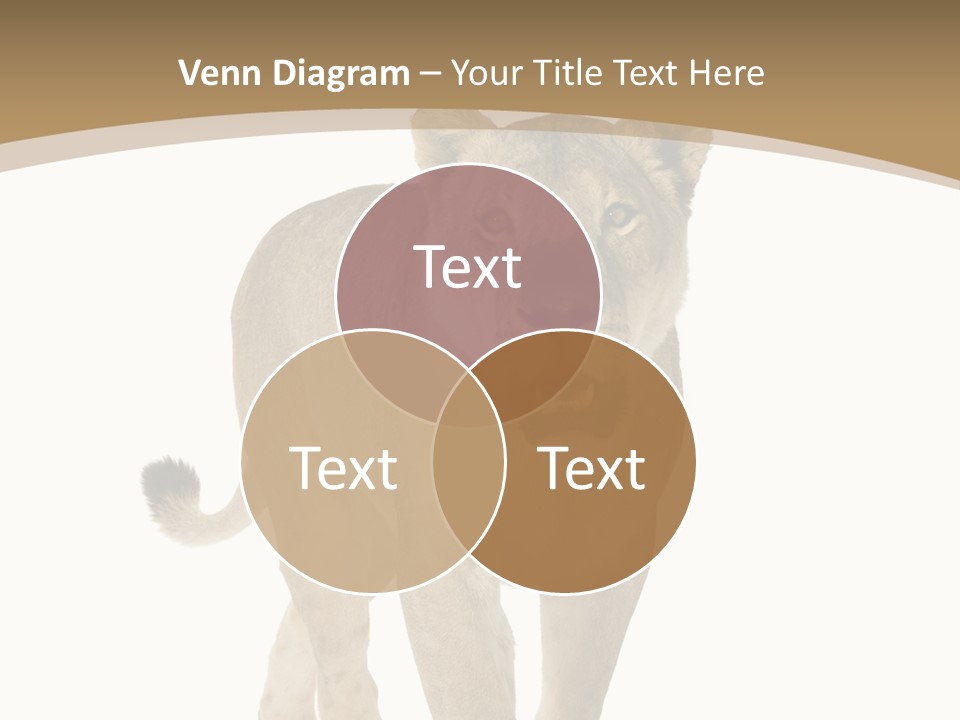 Fur Large Isolated PowerPoint Template