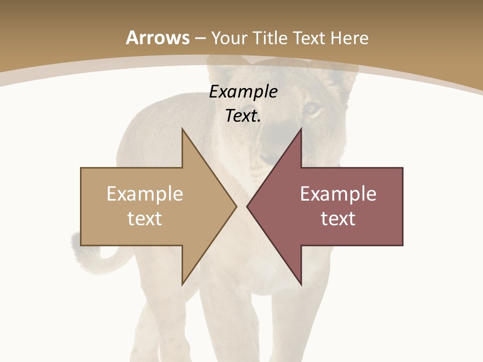 Fur Large Isolated PowerPoint Template