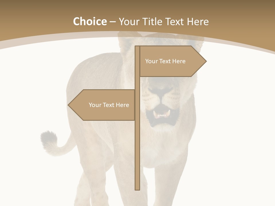 Fur Large Isolated PowerPoint Template