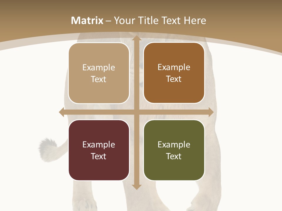 Panthera Leo Animals Animal PowerPoint Template