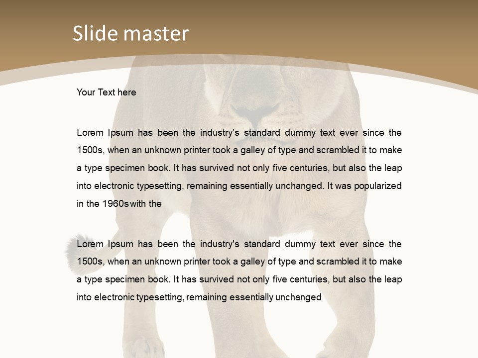 Panthera Leo Animals Animal PowerPoint Template