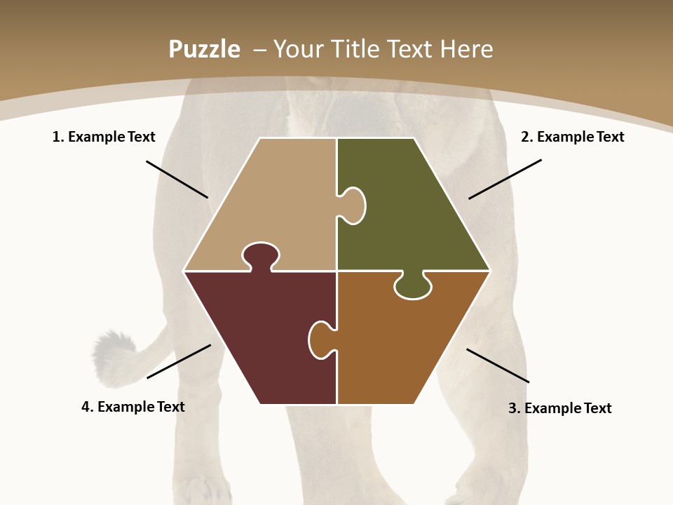 Panthera Leo Animals Animal PowerPoint Template