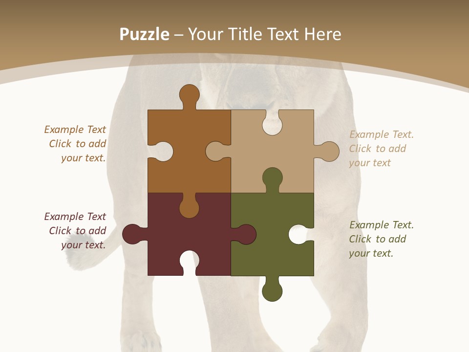 Panthera Leo Animals Animal PowerPoint Template