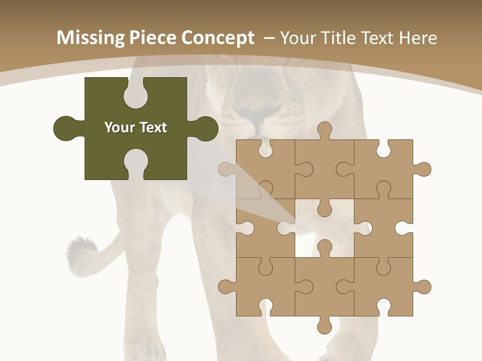 Panthera Leo Animals Animal PowerPoint Template