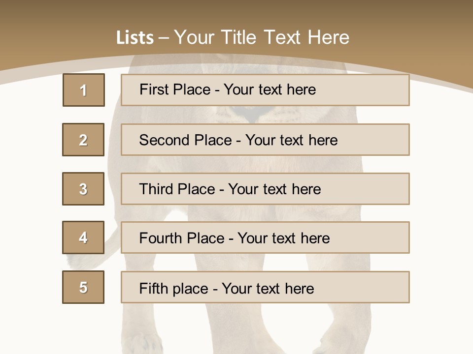 Panthera Leo Animals Animal PowerPoint Template