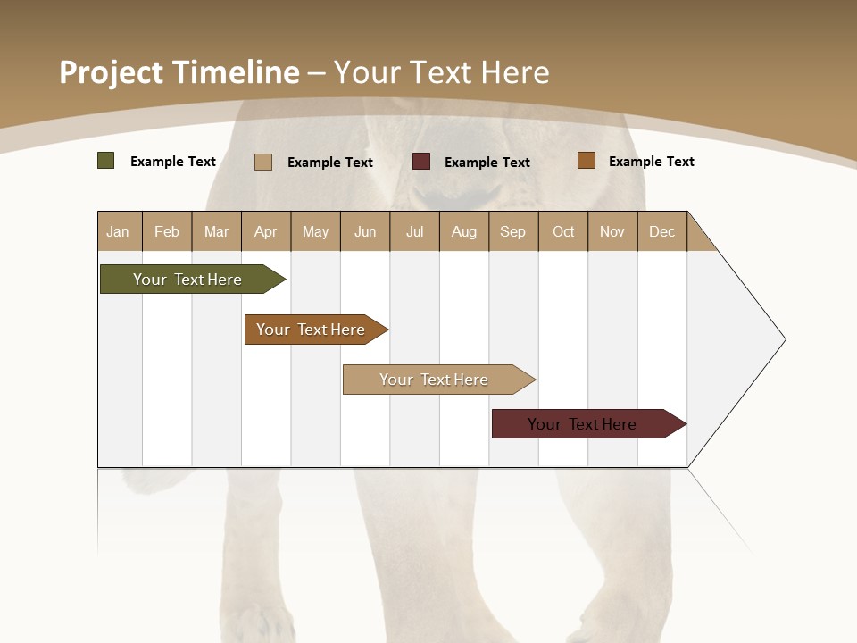 Panthera Leo Animals Animal PowerPoint Template