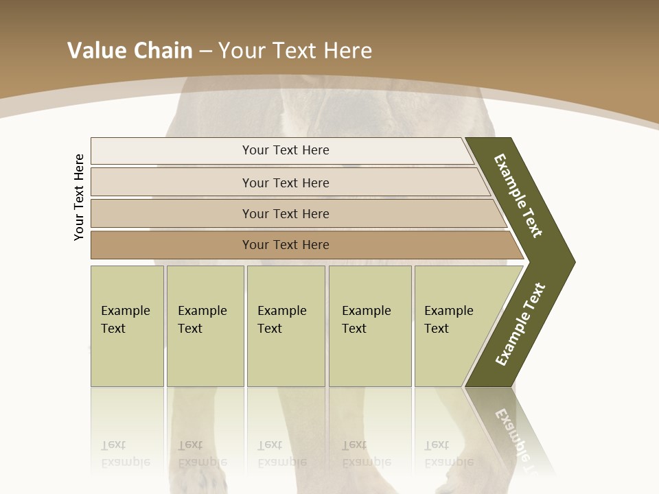 Panthera Leo Animals Animal PowerPoint Template