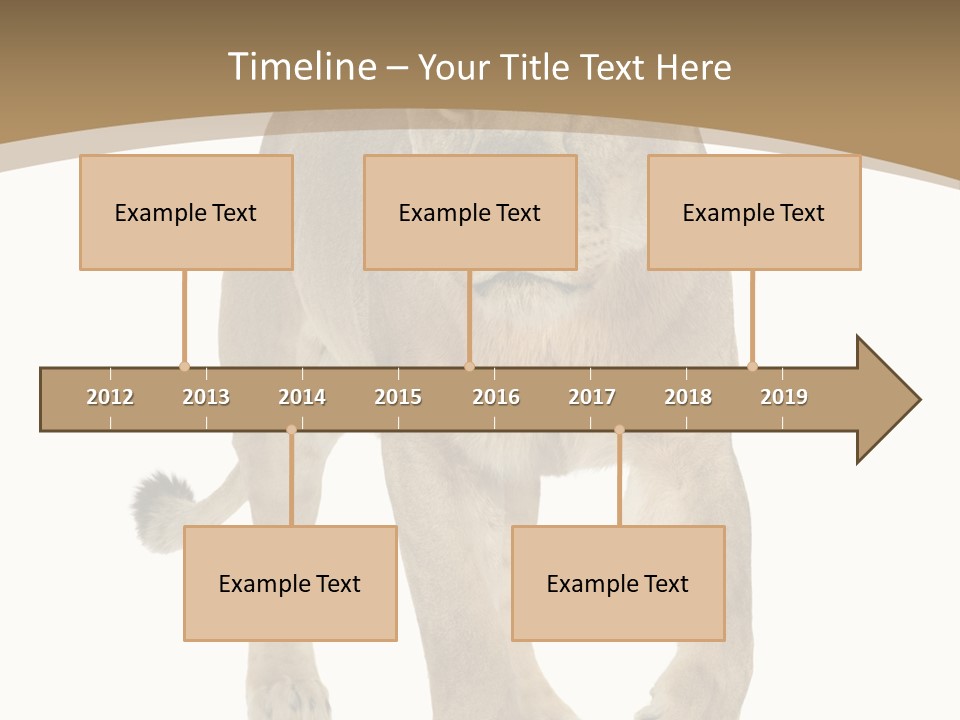 Panthera Leo Animals Animal PowerPoint Template
