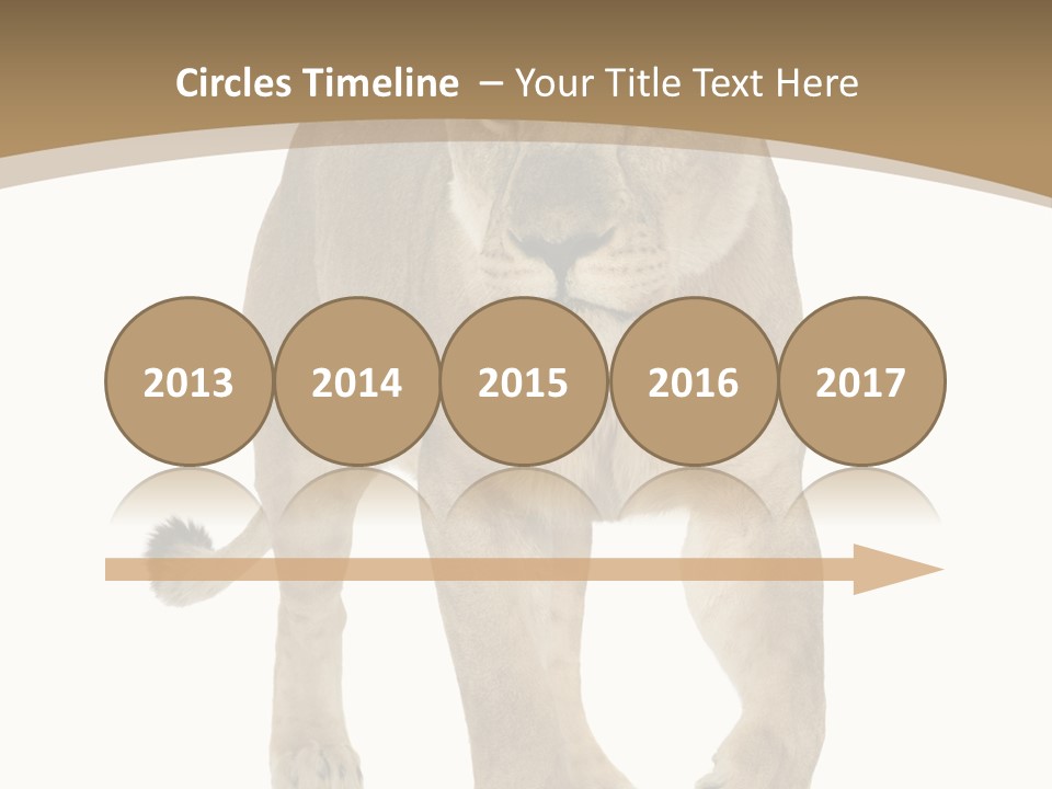 Panthera Leo Animals Animal PowerPoint Template