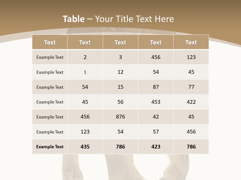 Panthera Leo Animals Animal PowerPoint Template