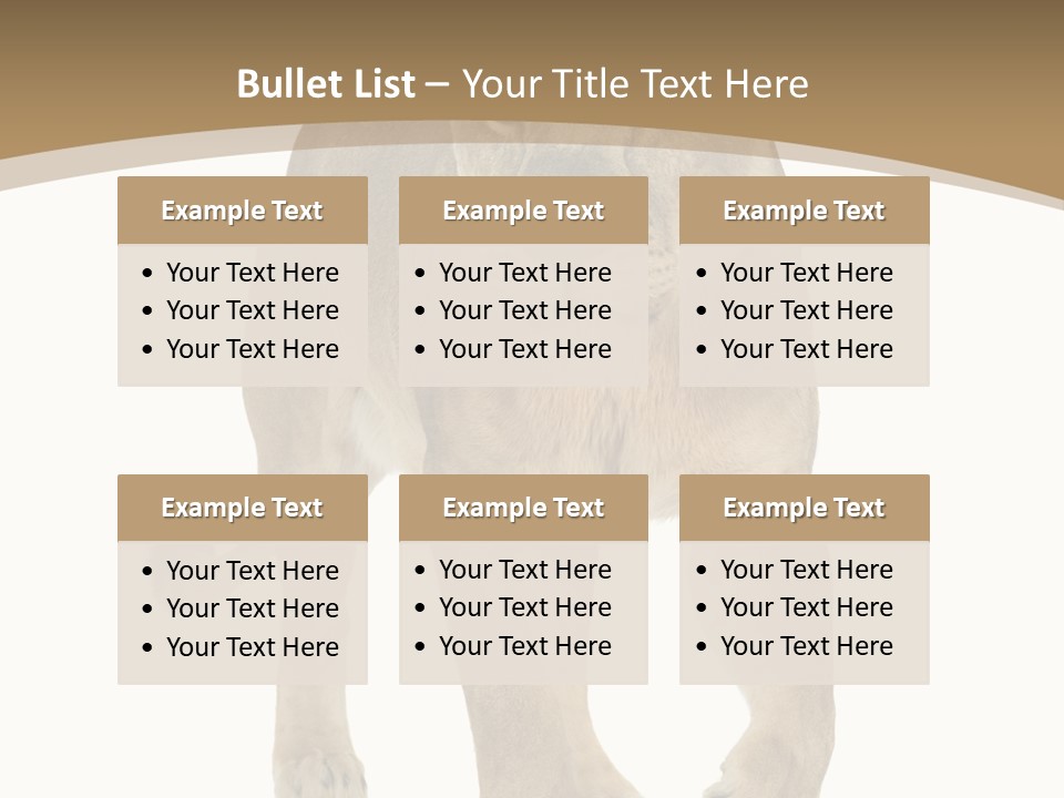 Panthera Leo Animals Animal PowerPoint Template