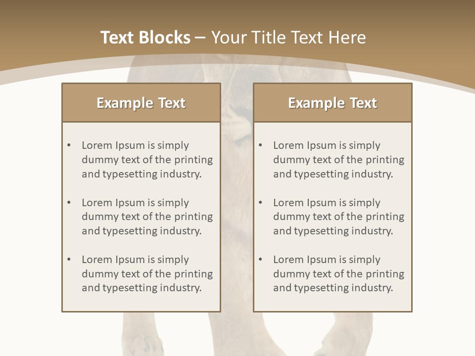 Panthera Leo Animals Animal PowerPoint Template