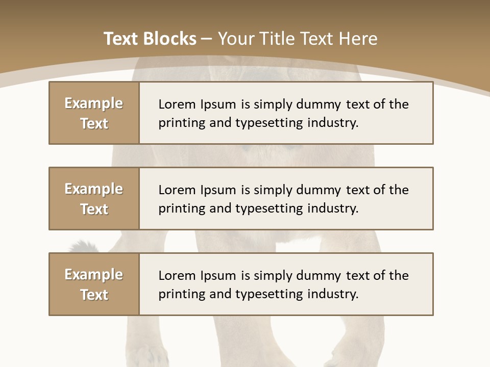 Panthera Leo Animals Animal PowerPoint Template