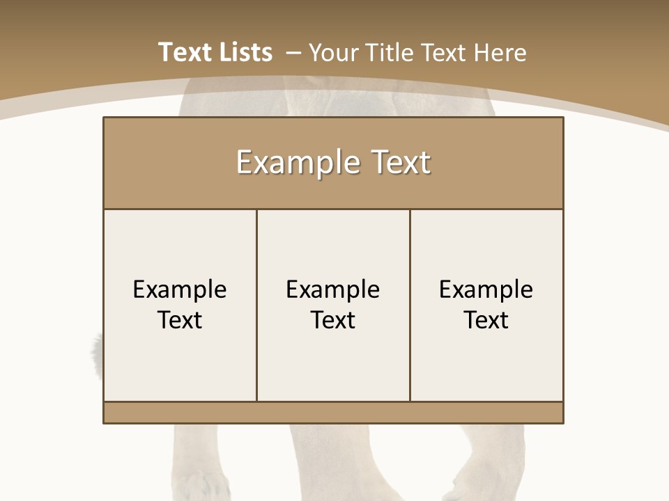 Panthera Leo Animals Animal PowerPoint Template