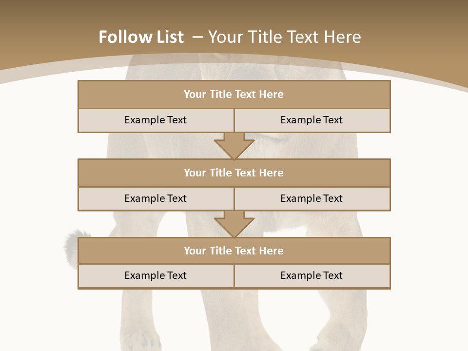 Panthera Leo Animals Animal PowerPoint Template