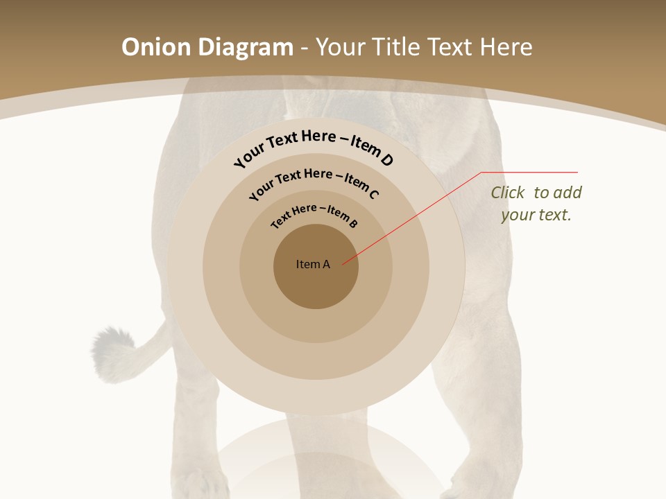 Panthera Leo Animals Animal PowerPoint Template