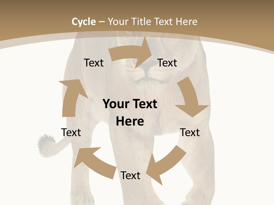 Panthera Leo Animals Animal PowerPoint Template