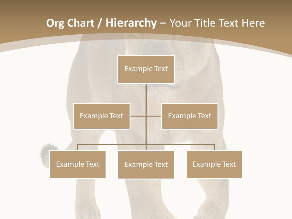 Panthera Leo Animals Animal PowerPoint Template