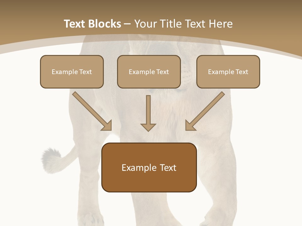 Panthera Leo Animals Animal PowerPoint Template