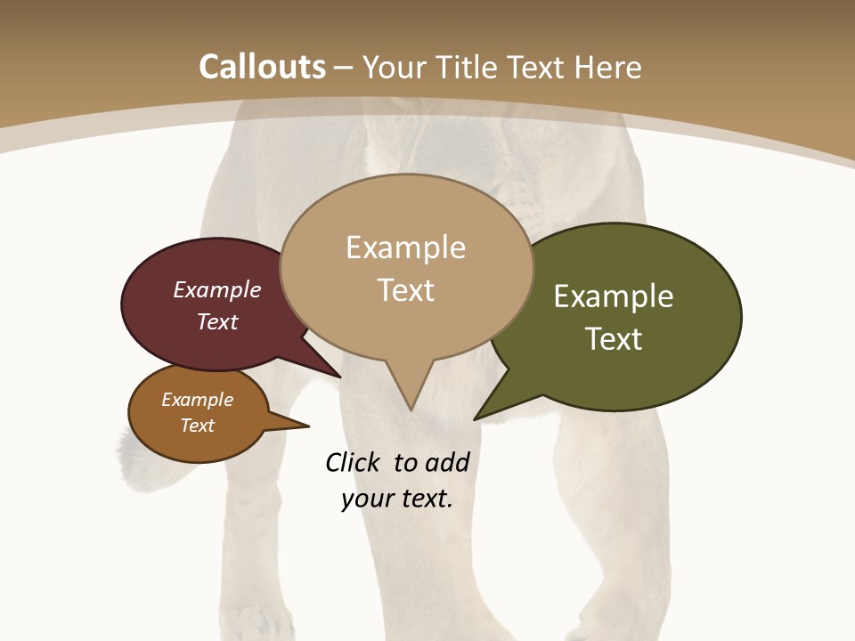 Panthera Leo Animals Animal PowerPoint Template