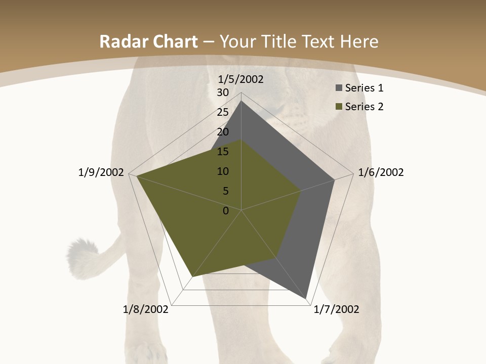 Panthera Leo Animals Animal PowerPoint Template