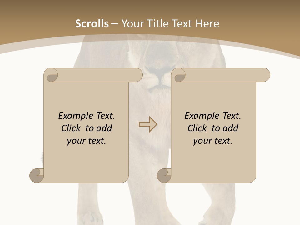 Panthera Leo Animals Animal PowerPoint Template