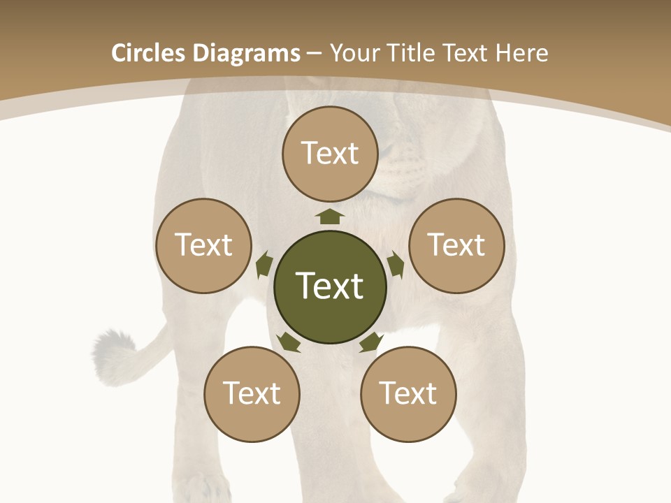 Panthera Leo Animals Animal PowerPoint Template