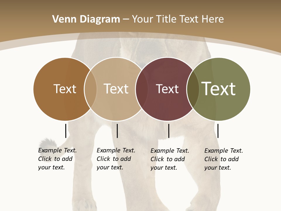 Panthera Leo Animals Animal PowerPoint Template