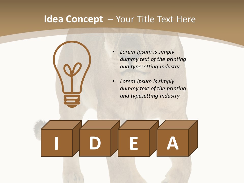 Panthera Leo Animals Animal PowerPoint Template